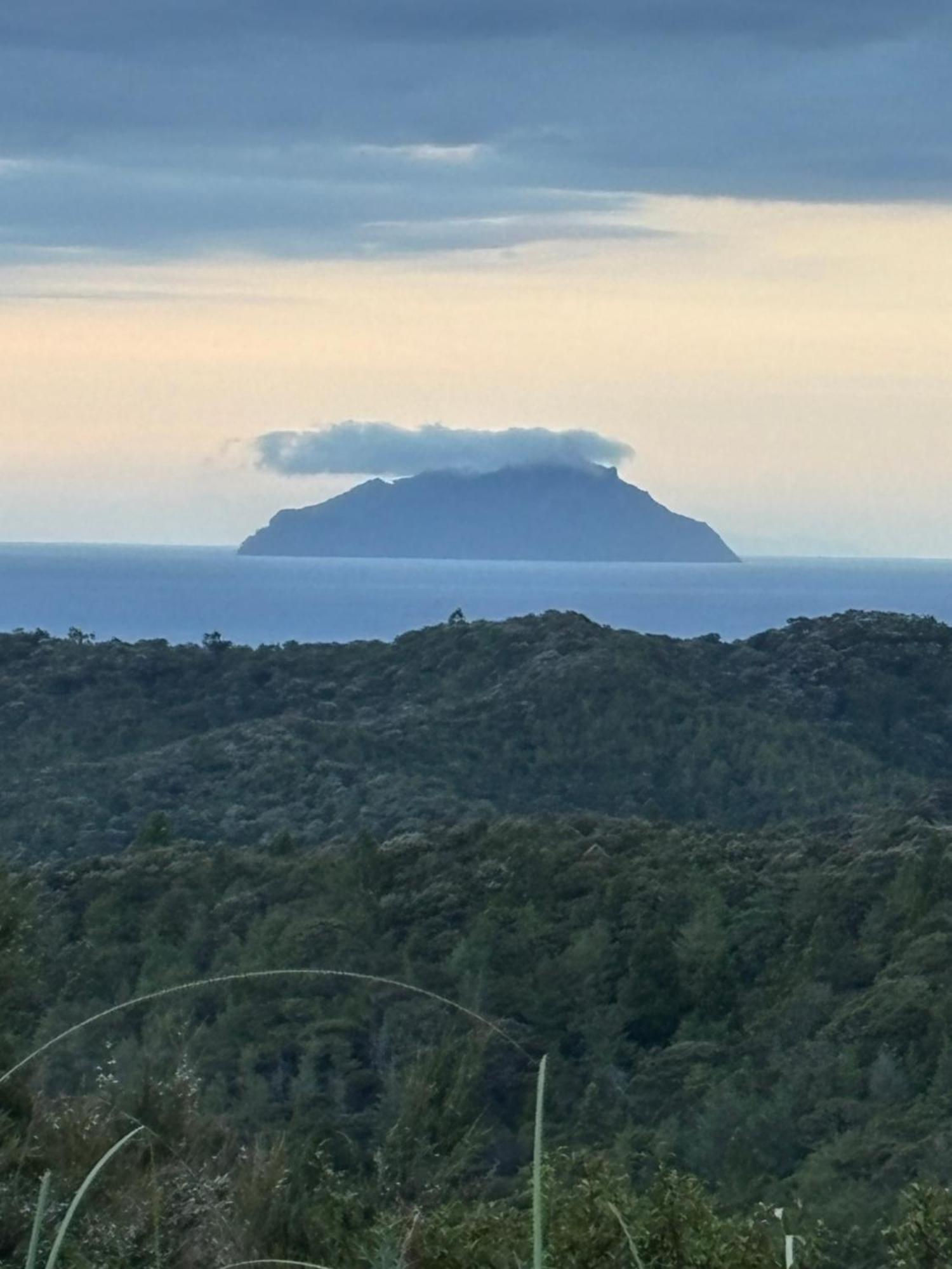 ホテル Ruakaka Retreat エクステリア 写真