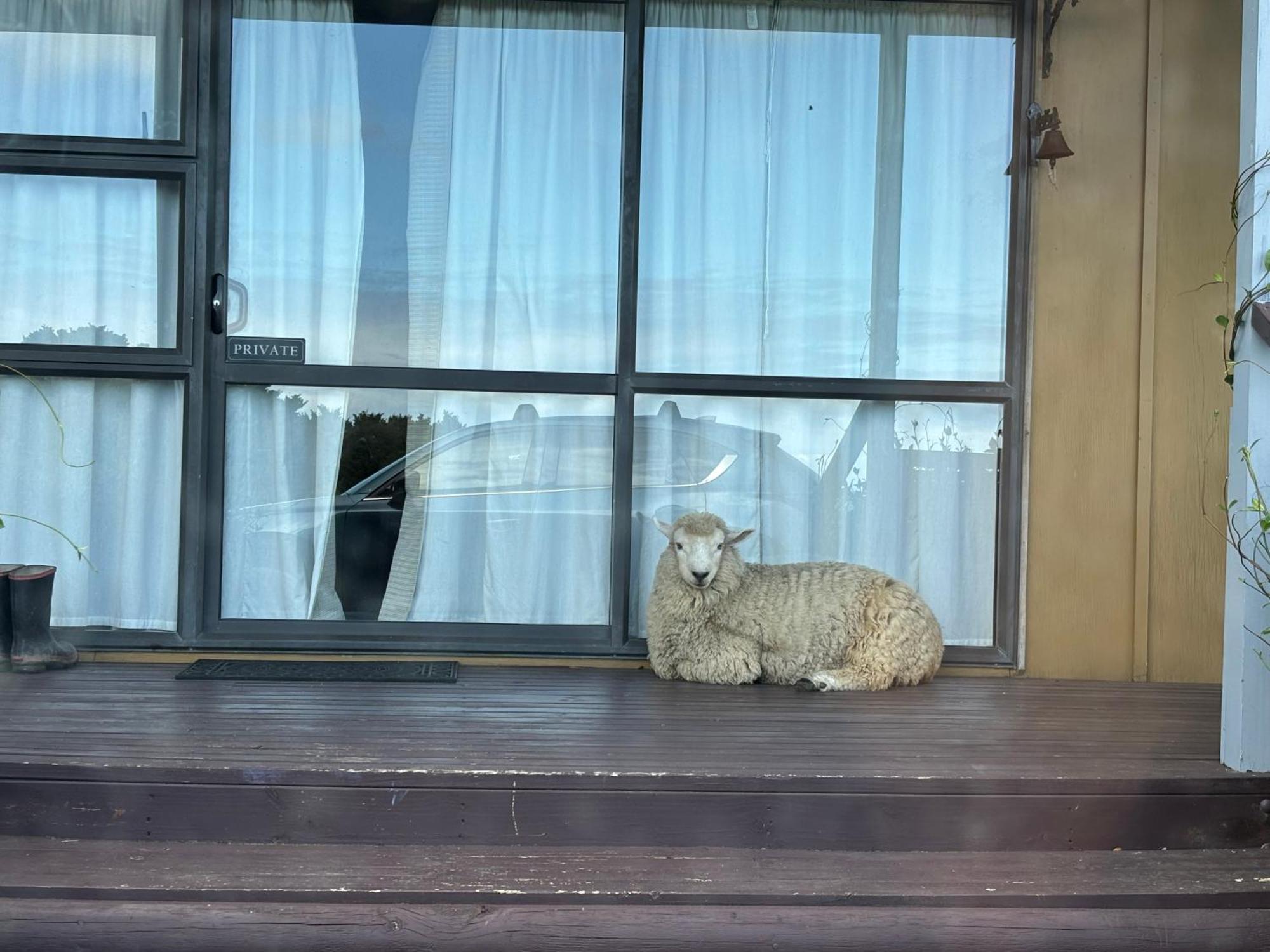ホテル Ruakaka Retreat エクステリア 写真